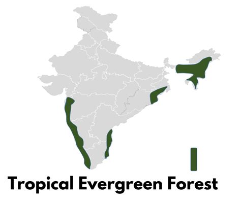 area of forest in china vs india